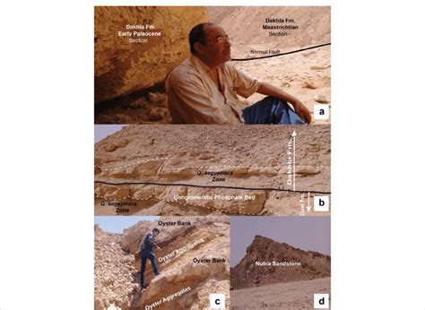 Field Photographs A The Dakhla Formation Lower Maastrichtian And