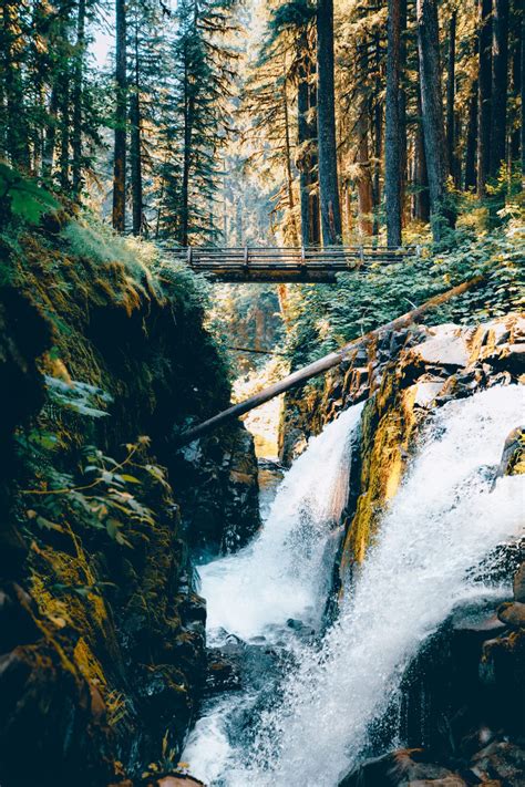 15 Jaw Dropping Stops To Take On Your Olympic Peninsula Road Trip