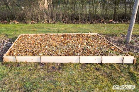 Zum umgraben genügt zwar ein guter spaten bzw. Beet statt Rasen: So wird der Rasen zum Gemüsebeet - ohne ...