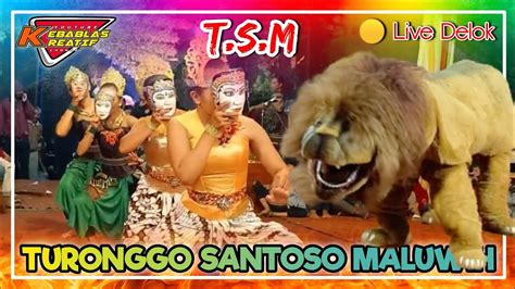 JARAN KEPANG TURONGGO SANTOSO MALUWIH TSM Live Delok Gesing Kandangan