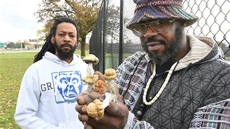 Detroit Decriminalized Magic Mushrooms Organizers Look To Grow A