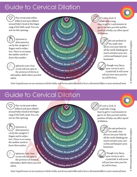 Cervix Dilation Printable Guide Better Birth Blog
