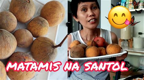 Sobrang Tamis Ng Santol Kolyn Vlogz Youtube
