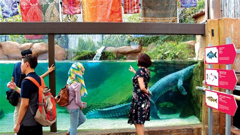 Wildlife Reserves Singapore Gaya Travel Magazine