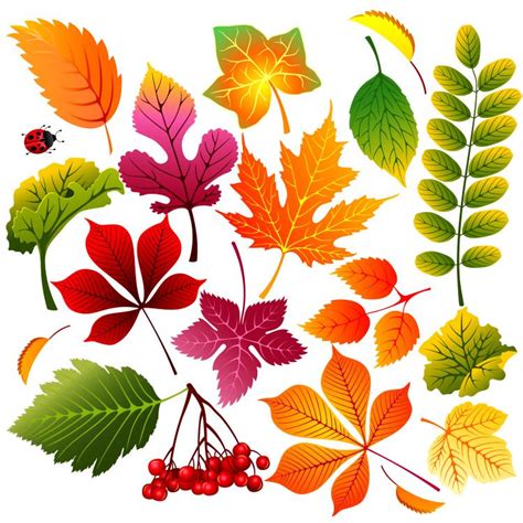 Beautiful Autumn Leaves 4259 Free Eps Download 4 Vector