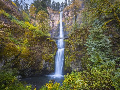 Multnomah Falls Columbia River Gorge Oregon Autumn Colors Fall Foliage