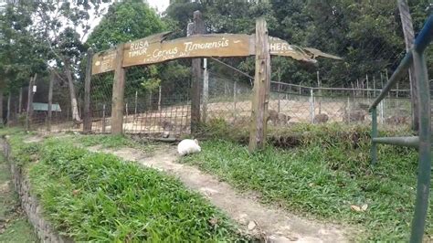 Taman Mini Zoo / Let S Get To Know The Animals In Taman Teruntum
