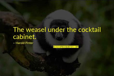 Weasel Quotes Top 41 Famous Quotes About Weasel