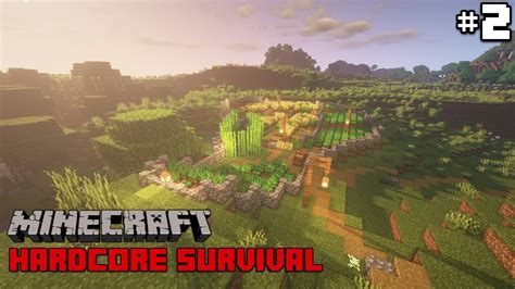 THE FARM AND PATHS: Episode 2 - Minecraft 1.15 Hardcore Survival 