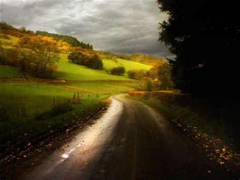 The Lane Landscape Farm Nature