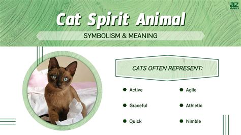 Cat Spirit Animal Symbolism And Meaning A Z Animals