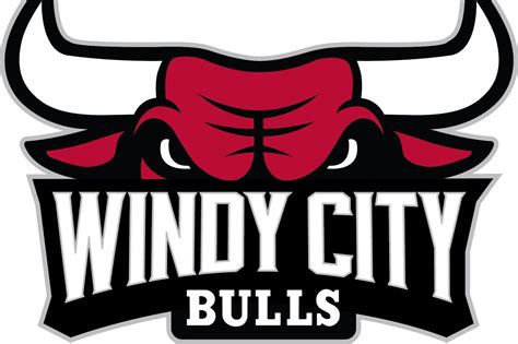 Bulls Release New D League Team Name Logo Blog A Bull
