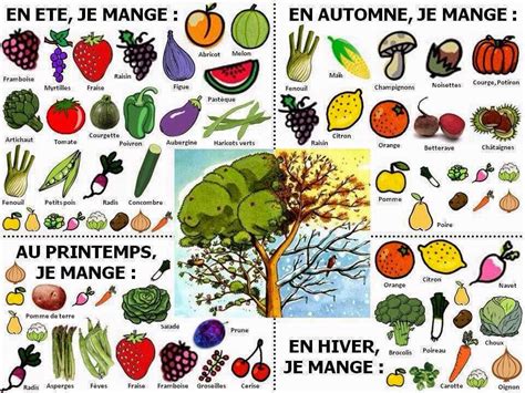 Apprends Les Noms Des Fruits Et Légumes