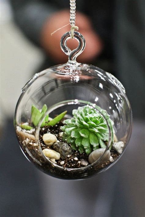 1000 Images About Terrariums And Fairy Gardens On Pinterest