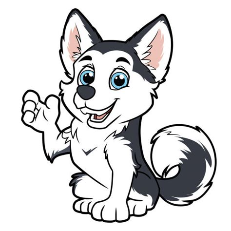 Huskies Cartoons Illustrations Royalty Free Vector Graphics And Clip Art