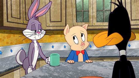 Assistir O Show Dos Looney Tunes 1 Temporada X Episódio 10 Online
