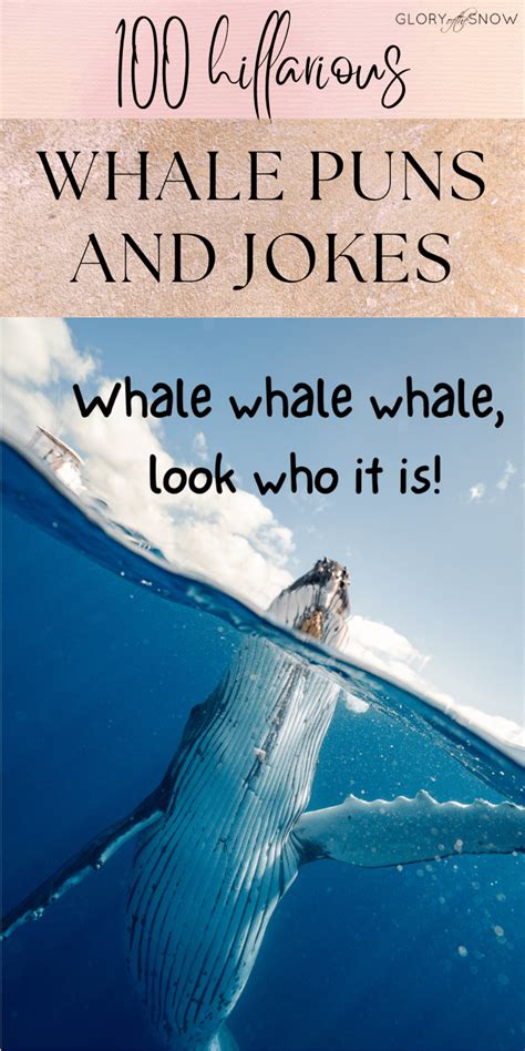 100 Funny Whale Puns And Jokes To Tail Your Friends Glory Of The Snow
