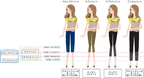 パンツの種類レディースでは！違いを簡単に解説！ | 気になるあれこれ。。