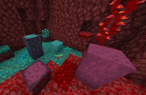I Thought It Was Really Weird That The Nether Fungi Had