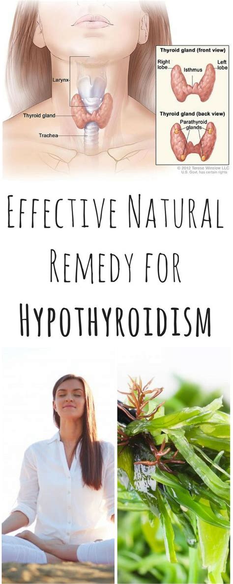 Effective Natural Remedy For Hypothyroidism Hypothyroidism Natural