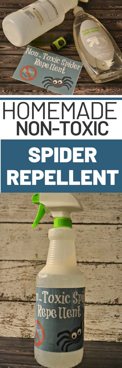Homemade Non Toxic Diy Spider Repellent Spiders Repellent Repellent