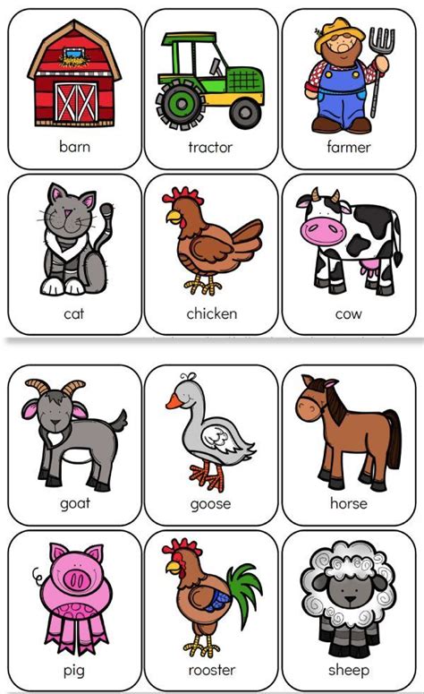 Farm Animals List For Kindergarten Animal Big