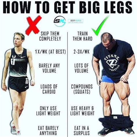 muscle fitness gain muscle build muscle fitness tips muscle mass big muscle training leg