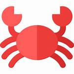 Crab Icon Icons Crabs Sea Aquarium Summertime