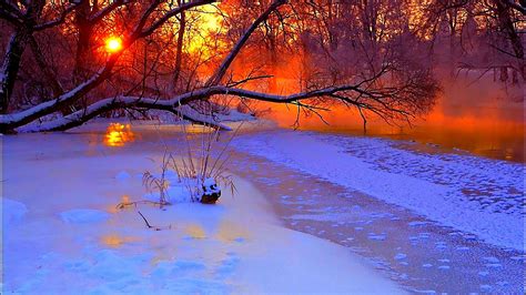 Download Wallpaper 1920x1080 Winter Sunset Evening Branches Tree