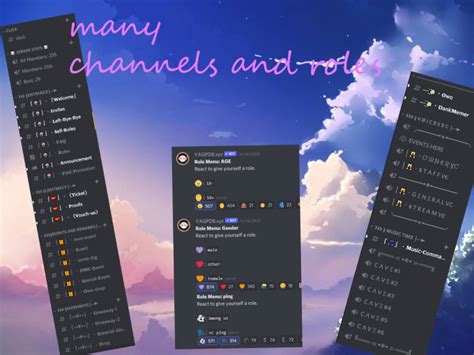 Setup Your Discord Server By Tortoise25 Fiverr
