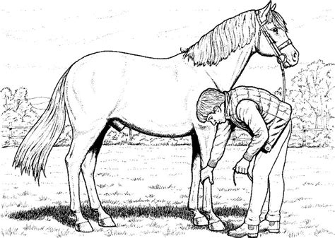 Pferde lehren dein kind, verantwortung zu übernehmen und lassen. Ausmalbilder Pferde 02 | Ausmalbilder Malvorlagen