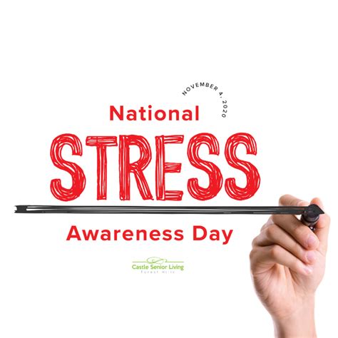 National Stress Awareness Day Castle Senior Living At Forest Hills