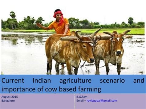 Current Indian Agriculture Scenario And Importance Of Cow Based Farming