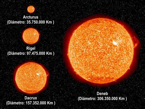 Top 5 Largest Stars In The Universe Universe Astronomy Science Stars