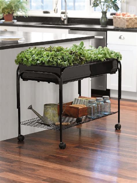 See more ideas about container gardening, container plants, plants. 18+ Creative And Easy DIY Indoor Herb Garden Ideas ...