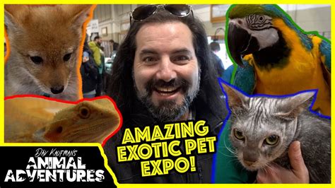 Touring The Coolest Exotic Pet Expo Parrots Reptiles And Werewolves