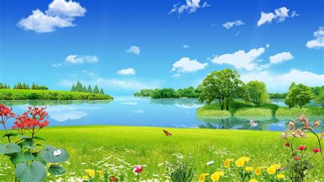 Flowers are one of the most beautiful creations of nature. Beautiful nature animated wallpaper - YouTube