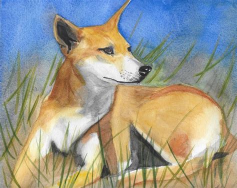 Pin By Sam Biswas On Dingoes Art Dingo Painting