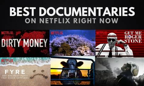 The 25 Best Documentaries On Netflix Updated 2024 Wealthy Gorilla