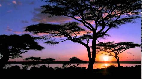 Bing 2013 11 06 Lake Amboseli Amboseli National Park Kenya Youtube