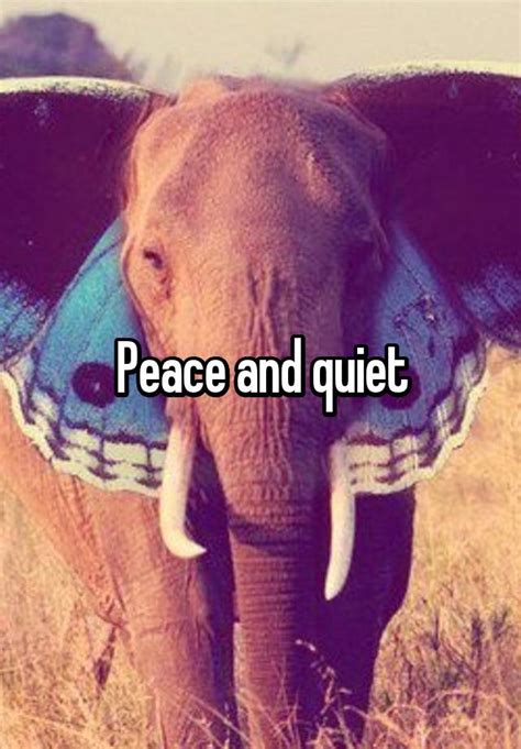 Peace And Quiet