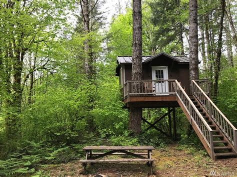 Check spelling or type a new query. Tiny Treehouse Cabin on 1.3 Acres in Belfair For Sale