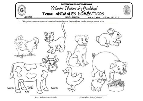 Colorear Animales Domesticos Y Salvajes - Páginas Colorear