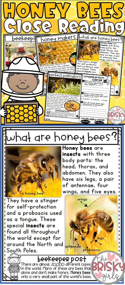 Honey Bees Reading Passages Close Reading First Grade Bee Life