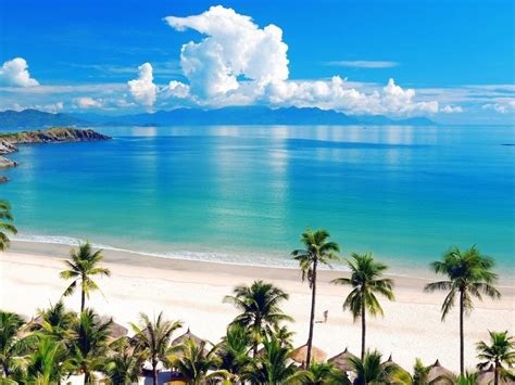 🔥 Free Download Beach Screensavers And Wallpaper Sea Beach Palm