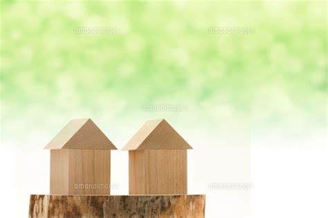 究極の愛の末に、2人が選んだ結末とは── いま観客から最も観たいと切望される2人の、あまりに切ない純愛ラブスト 『東京原発』（2004） 『半落ち』（2004） 『ハッピーフライト』（2008） 『ツレがうつになりまして。』 積み木の家02050013073｜ 写真素材・ストックフォト・画像 ...