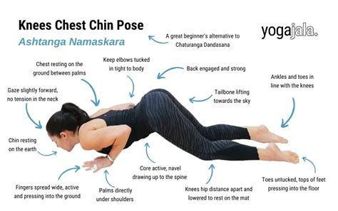 Knees Chest Chin Pose Ashtanga Namaskara