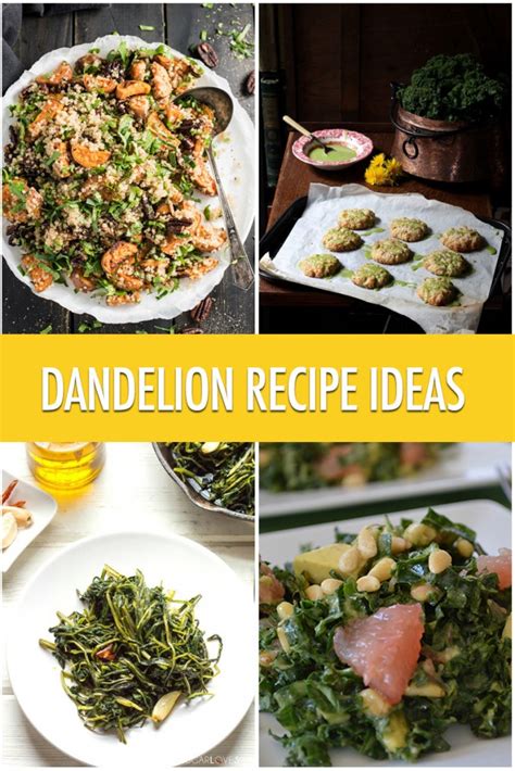 Cooking With Dandelions: Dandelion Recipe Ideas | Food ...