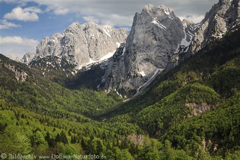 Alpenlandschaft Kaisergebirge Naturbilder Berggipfel Felsen Frühling