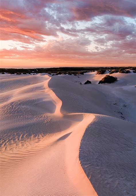 Lancelin Sand Dunes In Western Australia Justanotherdayinwa Photo By